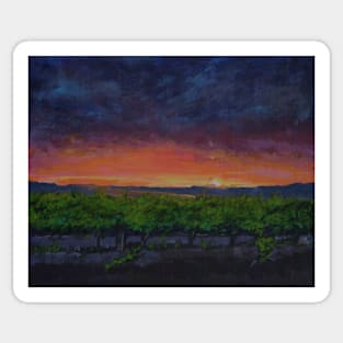 Vineyards at Sunset Sticker